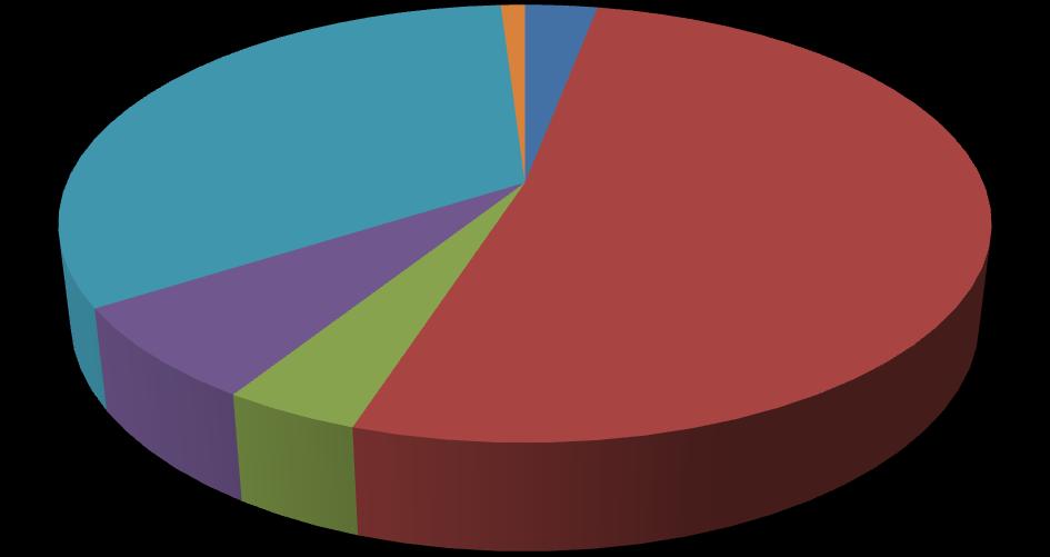 Geographical Breakdown Asset Distribution (as of End-Jun 2012) India :