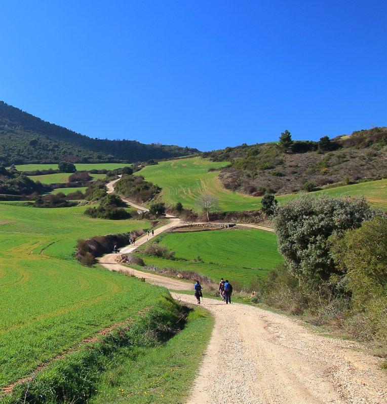 DISCOVER YOUR OWN CAMINO Open Up Routes Self-guided routes designed for all risus purus, vel cursus sem finibus sed. www.s-capetravel.