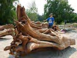 a major park node, focusing on group use and nature play, adventure and