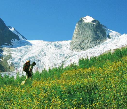 A gary What to Expect HELI-HIKING FROM THE BOBBIE BURNS AND BUGABOO LODGES Our lodges are located in some of the most pristine wilderness of Canada s western mountains with breathtaking scenery and