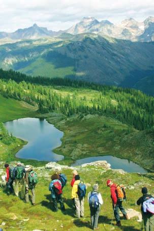 lunches on heli-hiking excursions and on our transfer to Calgary on August 20 are provided d by the lodges) Welcome and farewell receptions Drinking water on hiking excursions Gratuities to porters,