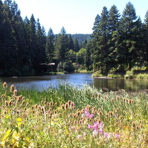 Camp Whispering Winds Location: Philomath, OR Size: 220 acres Capacity: 150 Price: Varies/Sites Description: The lodge has a very large open deck providing a wonderful view of the lake.