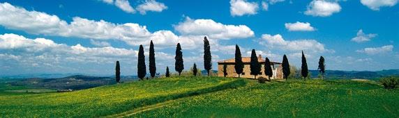 DAY 2: Discovering Chianti Meeting with your personal Tour Assistant, who will introduce you to the use of your Maserati, if you have chosen a self-driven tour, or will present the program of the