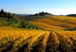 incredible natural set offered by the Tuscan countryside, decorated by cypress and gentle hills. The next stage is Pienza, Pope Pius II birthplace, located high on a hillside.