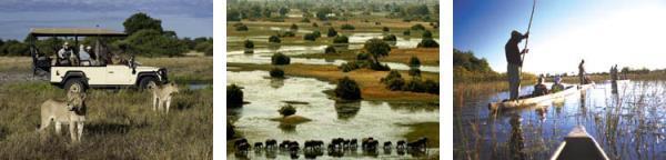 The Okavango Delta, covering over 6,000-square-miles (15,000-km2), is a natural mosaic of palmfringed islands, open savannah, flowing rivers, crystal-clear lagoons and floodplains sprinkled with