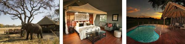 Accommodation: Chitabe Camp (Full Board) OR Chitabe Lediba consists of five spacious East African style tents each with an en suite bathroom with flush toilet, a shower and basin with
