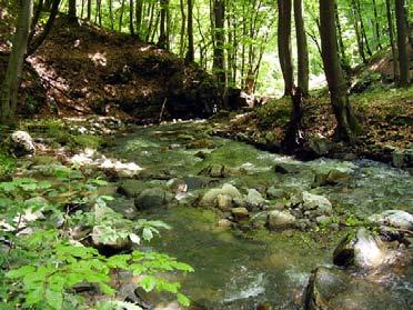 In Kazanlashka Valley, Central Bulgaria (Radovo River) an otter den was placed in the roots of A. glutinosa.