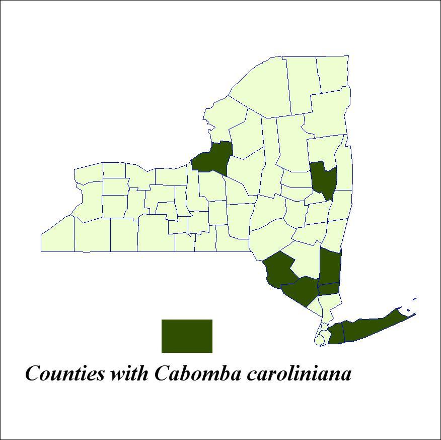 Figure 4. New York State counties with Fanwort (Cabomba caroliniana). Table 6. Locations in New York State with Variable Milfoil (Myriophyllum heterophyllum).