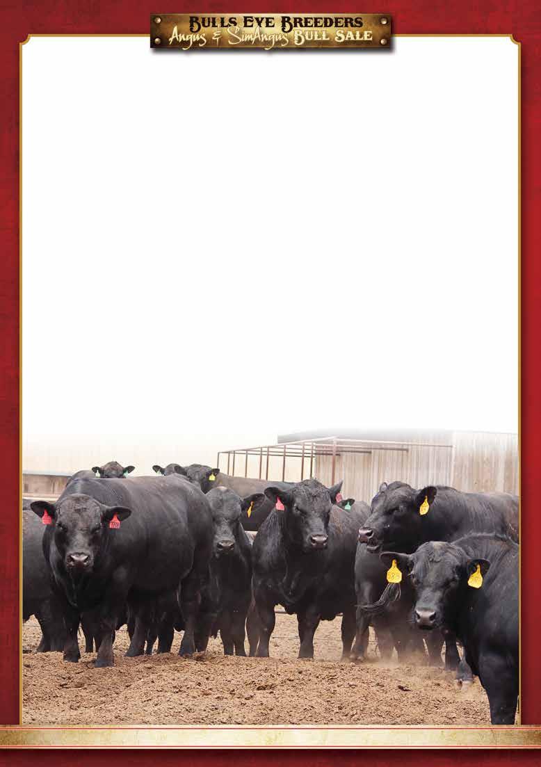 Welcome to the 18th annual Bulls Eye Breeders Bulls Sale. This sale is officially an adult!