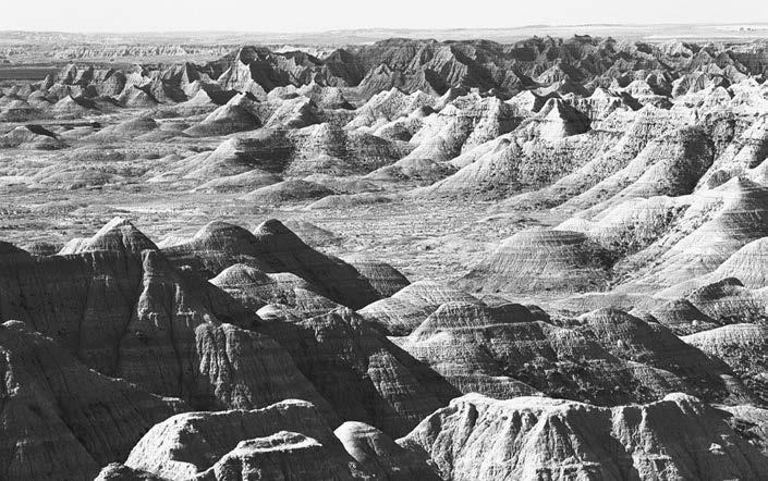 issue 59 - page 2 the Badlands Long ago a shallow inland sea spread across what is now the Great Plains of North America.