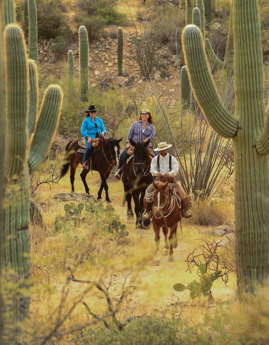 Tanque Verde Ranch, located at the base of the Rincon Mountains of Southern