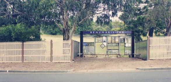 BEAUMARIS ZOO CREATIVE USES DESCRIPTION Situated in the Queens Domain, between Lower Domain Road and Carriage Drive is the site of the Beaumaris Zoo.