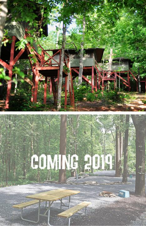 CABINS Treetop Cabins sleeps up to 4, lake view or mountain view options, access to your own private bathroom Cherry Mountain Cabin sleeps up to 8, 2 bedrooms, bathroom, kitchen Laurel Cove Cottages