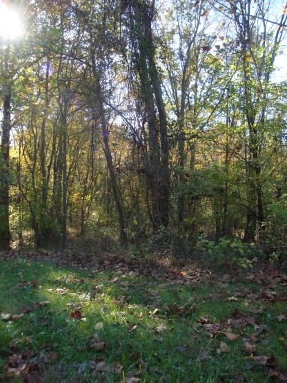 This land is currently not developed or utilized for any type of activity. It is entirely a wooded parcel and the Darby Creek traverses the western portion.