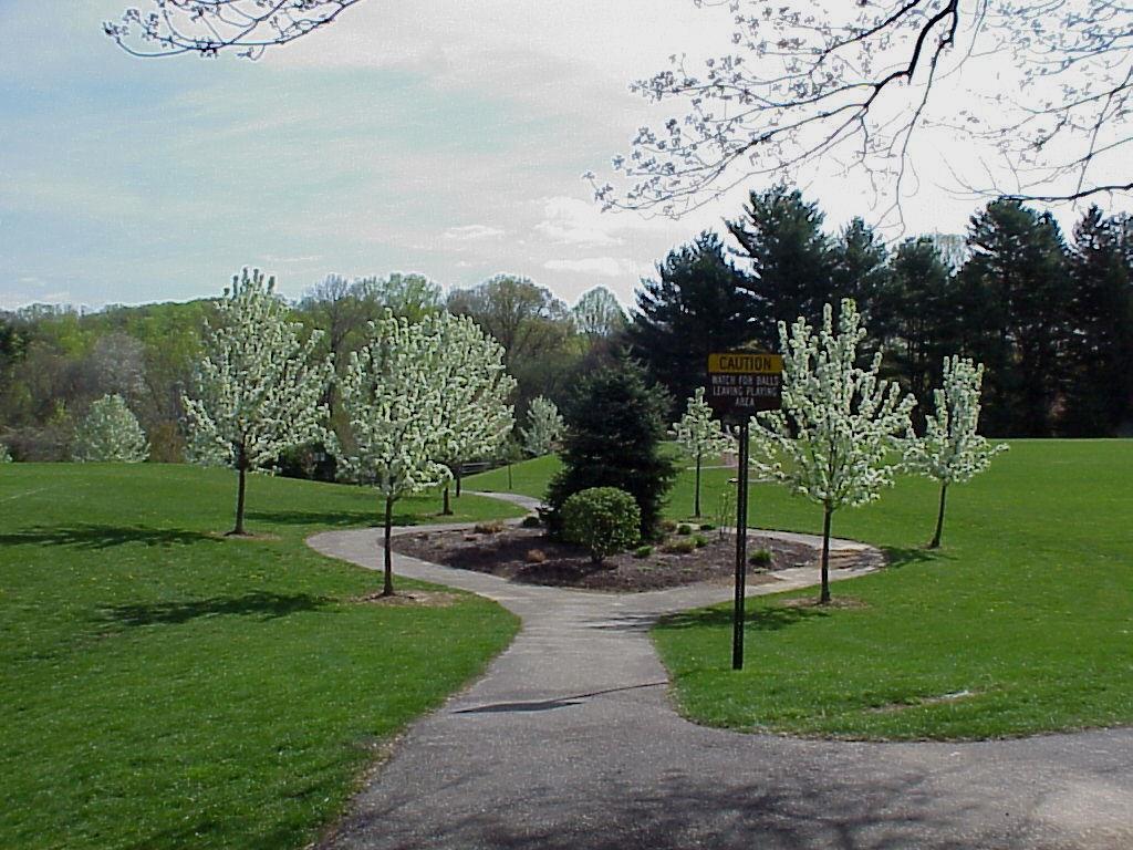 Officially opened to residents on April 16, 2006, the Radnor Trail has provided the community with a safe location to perform some of their favorite outdoor recreational activities.