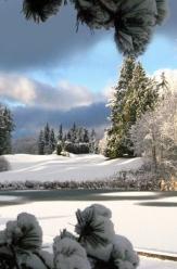 Open Up to Winter Wonder! Winter in Snohomish County brings cold temperatures, snow in the mountains, and gorgeous, frost-covered landscapes. If you re adventurous, brave the cold and enjoy the snow!