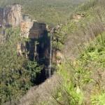 Pierces Pass and Grose River Tracks to Blue Gum Forest intersection 4.9km 1 Hrs 30 mins (From 6.