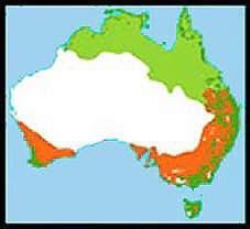 AUSTRALIA THE FIRST 65 MILLION One mammal