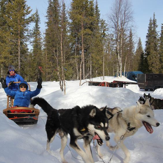 extra activities 2/2 Optional activities for your choice Snowmobile Safari You do not need a driver s