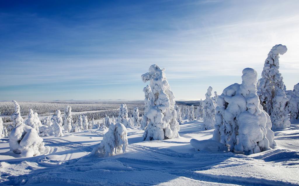 What s included Services & activities of the base fare TRANSPORTATION Round Trip to Lapland by Bus from chosen departure place ACCOMMODATION Accommodation 4 nights in cabins for 6-14 ppl SIGHTSEEING