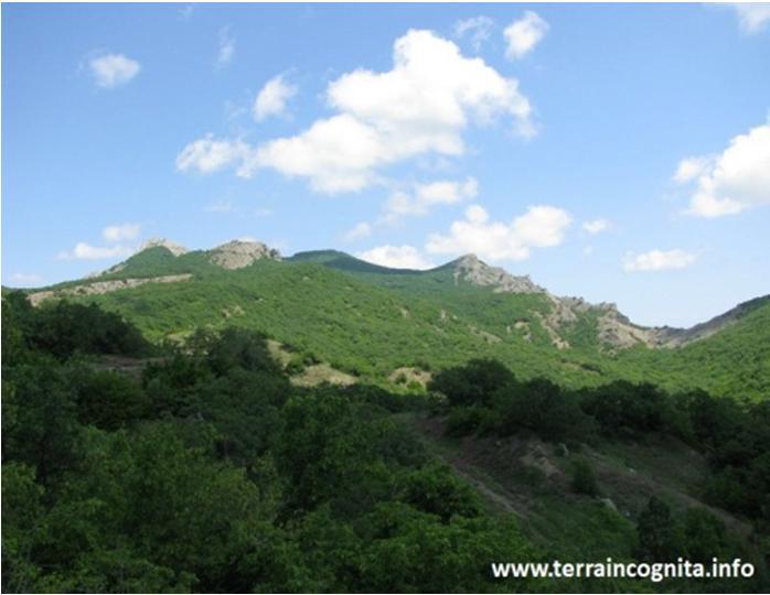 It is a unique place, a natural reserve of power with pure mountain air, rich in flavors of Crimean herbs and sounds of wildlife.