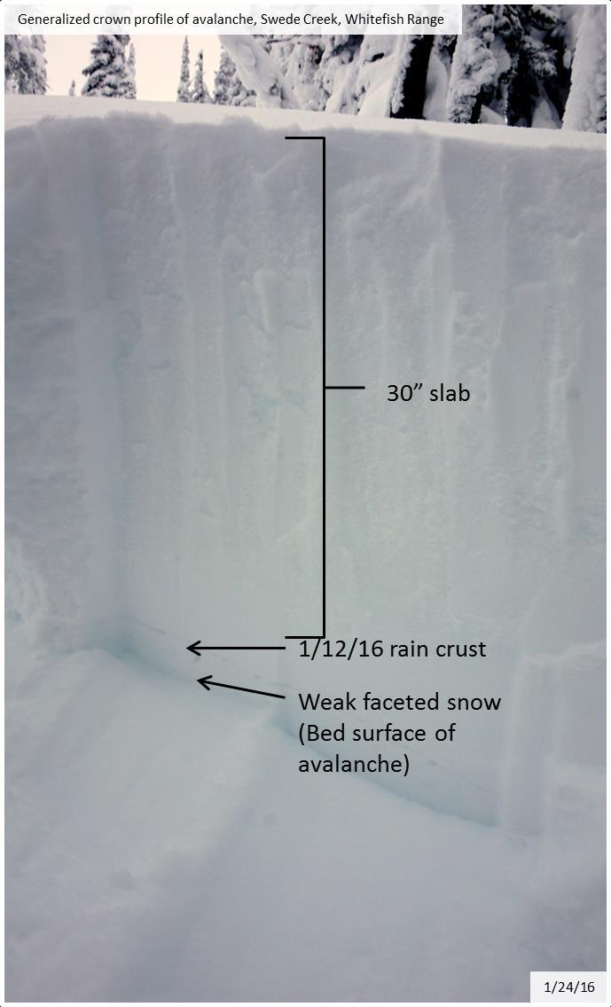 Figure 4: Generalized image of crown profile of the avalanche with bed surface layer denoted.