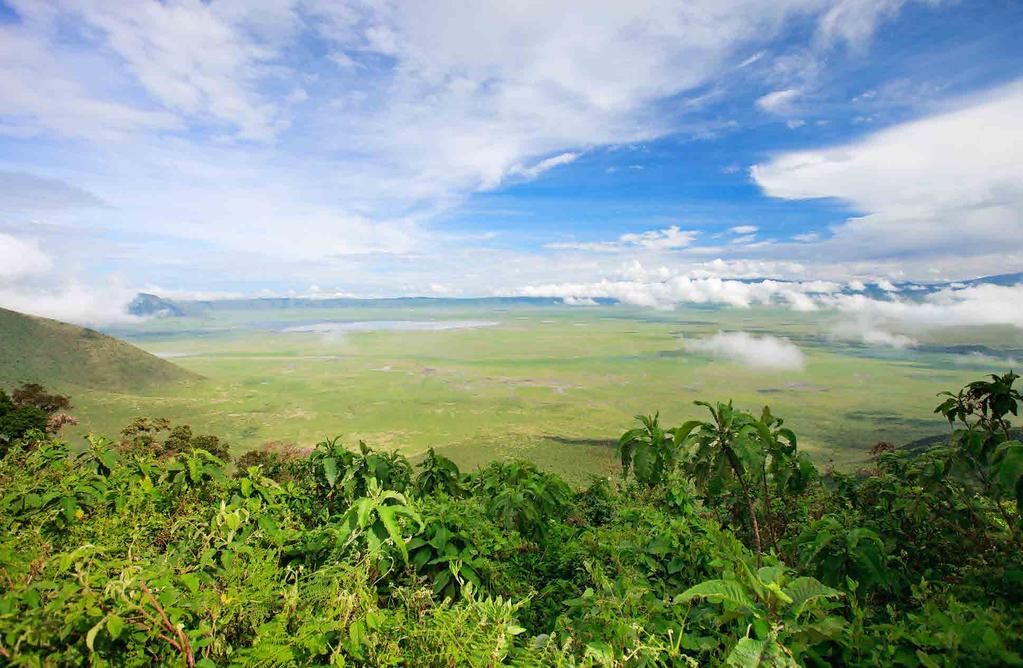 Ngorongoro Crater The world s largest inactive and unfilled volcano is well renowned for the host of flora and fauna that inhabit the crater.