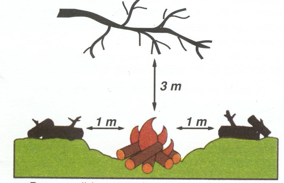 Remove all leaves, twigs and flammable material from an area extending at least one metre around the fire and