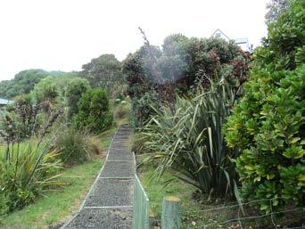 2755 Clutha Mackenzie Reserve is located on the south side of Beach Road, Motunau Beach. The reserve is named in memorial after Mr. Clutha Mackenzie C.B.E, the fomer Chairperson of the Hurunui County Council for 37 years.
