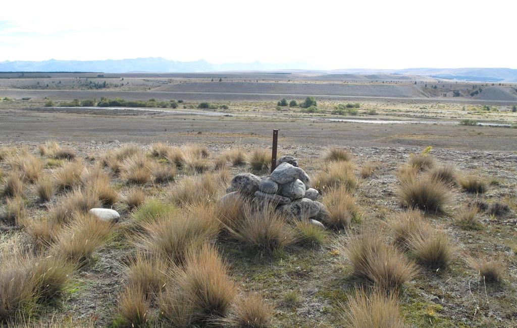 Management and Sustainability of Dryland Ecosystems The Tekapo Scientific Reserve Dryland ecosystems typically depleted through a long history of
