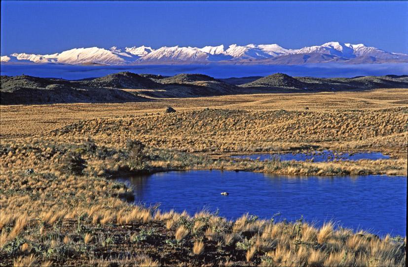 Summary The Mackenzie Basin is one the most ecologically distinctive areas in New Zealand a stronghold for many rare ecosystems and threatened species of national priority to protect presents a