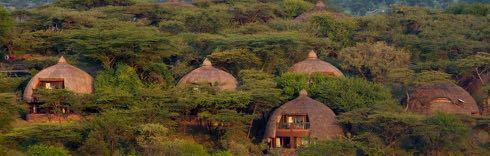 distant Lake Manyara. Lunch will be served at the Lodge followed by a game drive in Manyara Park.