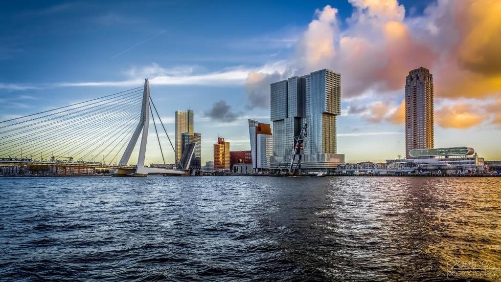The Hague, Rotterdam,