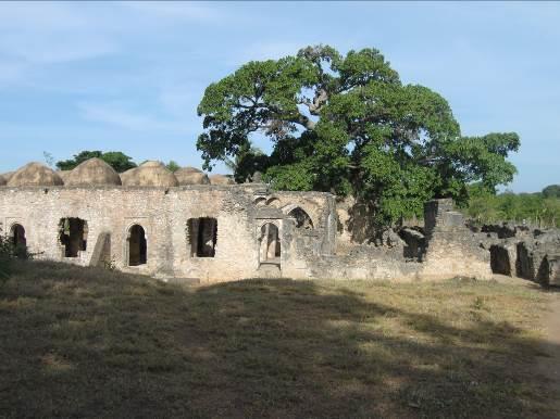 CONSERVATION OF HERITAGE PLACES To ensure improved management and conservation of World Heritages in Africa through participation of all stakeholders including local communities Ruins of Kilwa