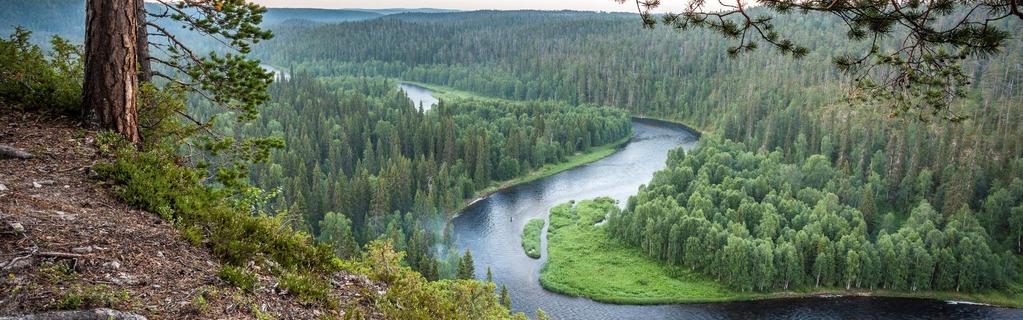 Mari Limnell The Oulanka area is characterised by old pine forests, lush spruce groves, meandering river valleys with rapids and sandy banks, steep-walled gorges and large mires in the northern parts