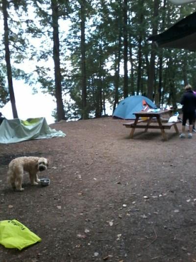 Our Honorary Paddle Puppies enjoyed their puppy chow at the campsite and said is was a really RUFF weekend! To register for any trip, follow the registration instructions in the trip article.