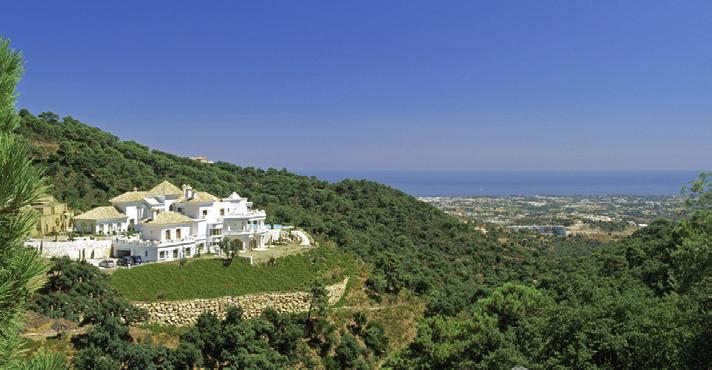 and-a-half to five million euros will buy you a villa on a nice piece of land. A very nice piece of land.