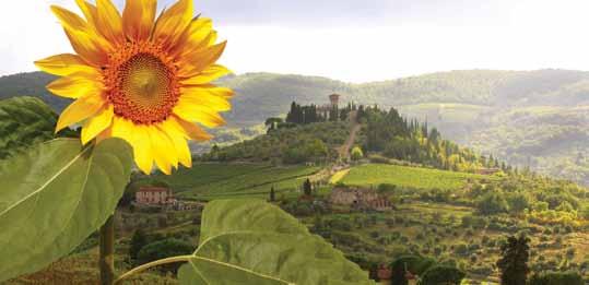 exclusive fares with Free per from $ 3,299 guest AirfAre * $ 500 plus shipboard credit * per stateroom* tuscany tuscan charms BARCELONA to ROME 7-DAY VOYAgE INSIgNIA - OCTOBER 29, 2011 Monte Carlo