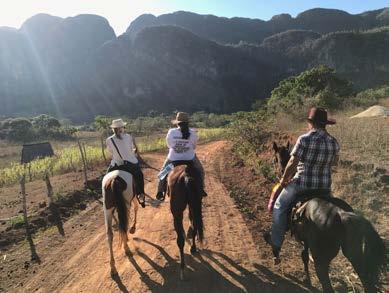 January 1 Tuesday 8:00 am Breakfast in our casas 9:00 am Option 1: Horse ride through the