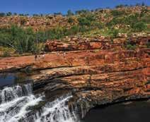 Gorge, Return to Broome Operated by: APT Kimberley Wilderness Adventures PRICE PER PERSON: 1 MAY 31 AUG 16 1 30 SEP 16 Adult twin share $5,795 $5,595 Adult sole use $7,145 $6,895 Child 12-15 years