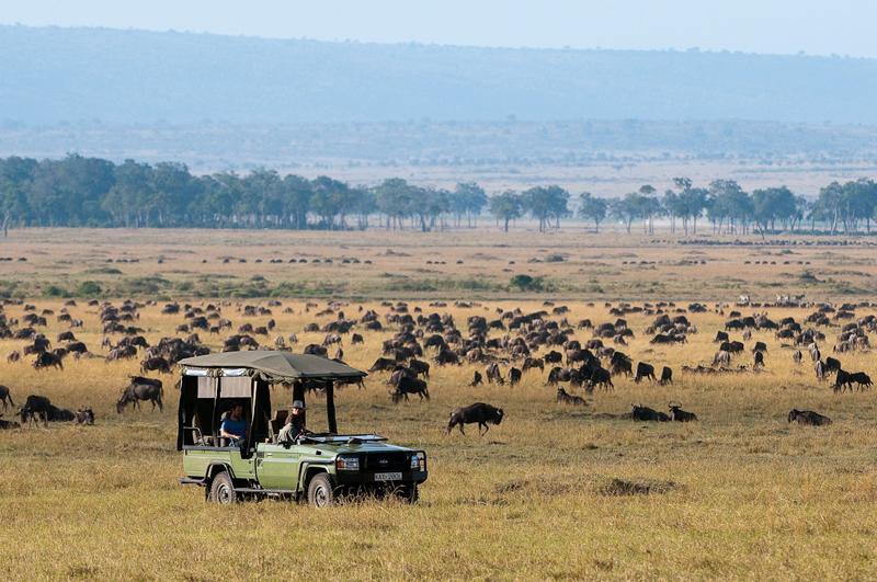 EXCLUSIVE KENYA SAFARI Explore the remote wilds of the Kenyan bush in private game reserves, flying from camp to camp and gaining broader understanding of this vast country and its diverse wildlife.