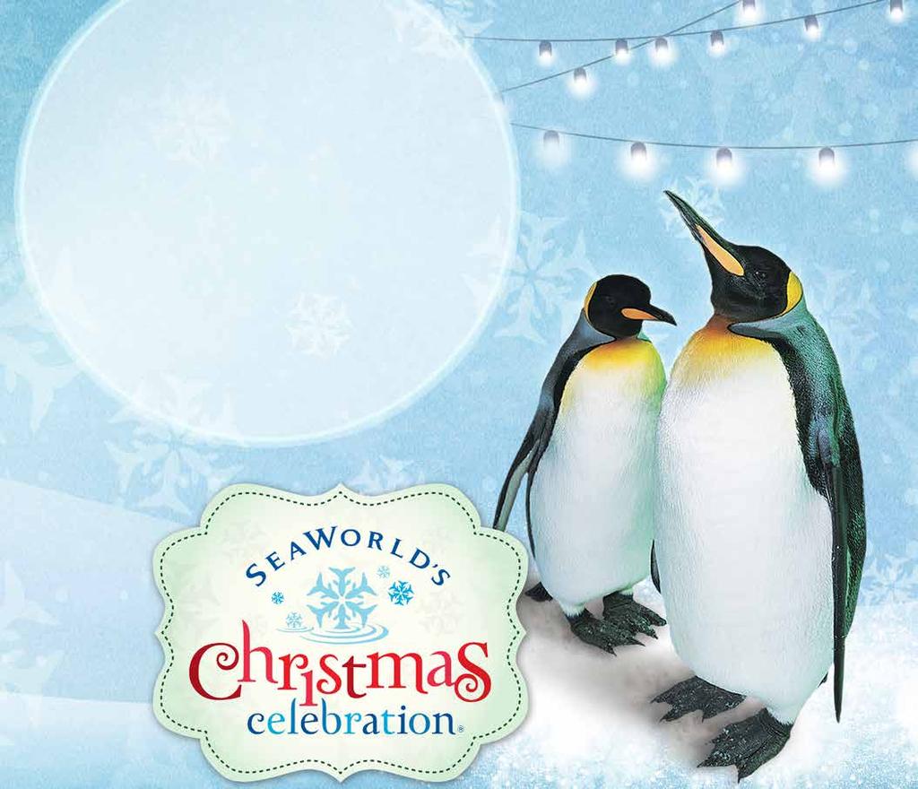 3 SeaWorld s Christmas Celebration is sure to bring warmth and holiday cheer to all ages.