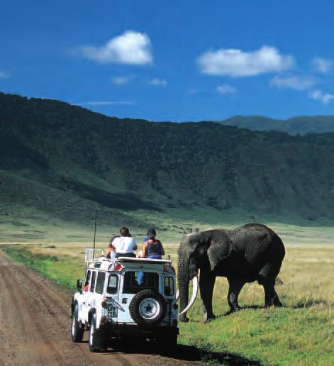 Day 2: Journey to Manyara National Park for a full day of game drives.