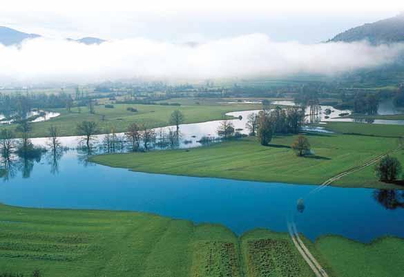 Čudovito Planinsko polje Wonderful Planinsko Polje Planinsko polje velja za klasičen primer kraškega polja, zadnje tovrstno v porečju Ljubljanice po njem si utira pot reka Unica, ki izvira v