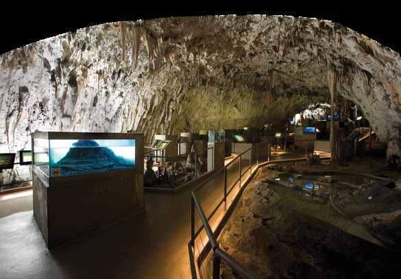 Postojnska jama kras razstava o krasu ter nastanku in turističnem razvoju Postojnske jame Proteusova jama z Vivarijem Postojnska jama nudi zavetje več kot 150 živalskim vrstam Črna jama