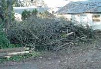 Managing Storm Debris Do your part to help speed up the recovery process.