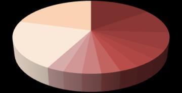 Market Share by total capacity operated as at 1 Jan 2010 (Jan 2009 capacity in brackets) 21.