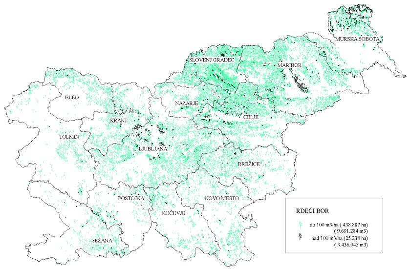7 Slika 2: Razširjenost in lesna zaloga rdečega bora v Sloveniji, 2003 (Vir: Jurc in sod., 2003). Črni bor (Pinus nigra) z lesno zalogo 1-100 m 3 /ha je na površini 71.