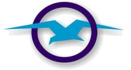 HELLENIC CAA FLIGHT STANDARDS DIVISION INFORMATION BULLETIN Αποδέκτες: ΕΛΛΗΝΕΣ ΑΕΡΟΜΕΤΑΦΟΡΕΙΣ KAI ΑΙΣΟΤΝΣΕ AOC FSD/OPS/IB 02/2014 ΕΚΔΟΣΗ 3 η (Amed.