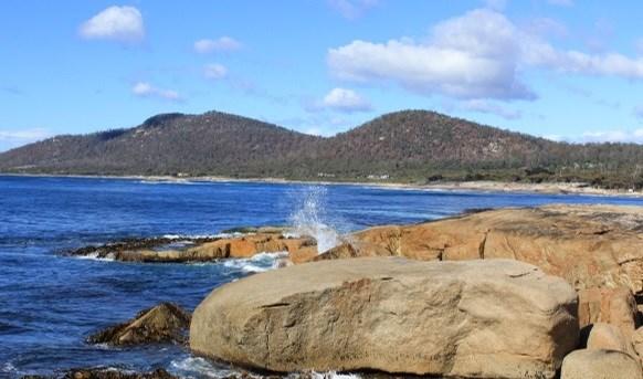 Day 3: Wednesday 14th November, 2018 Tasmanian Devils - Tasman Sea - Freycinet Peninsula - Hobart Today we head south beside the blue waters of the Tasman Sea, through fishing and holiday villages of